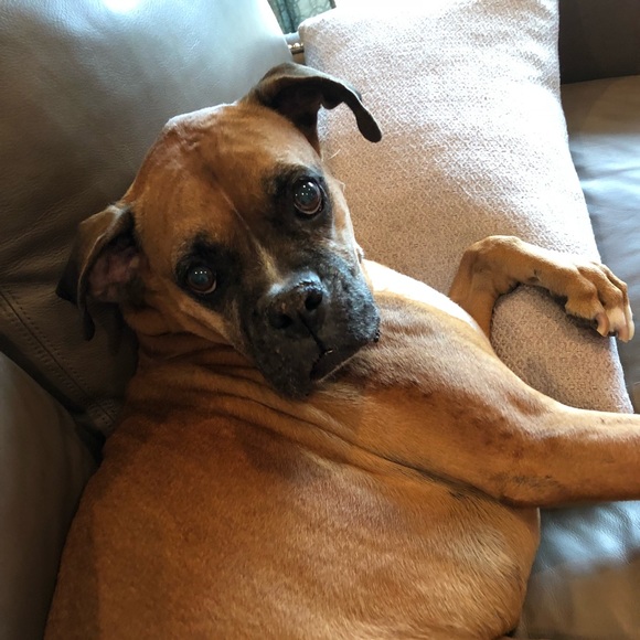 Meet your Posher - Picture 1 of 1